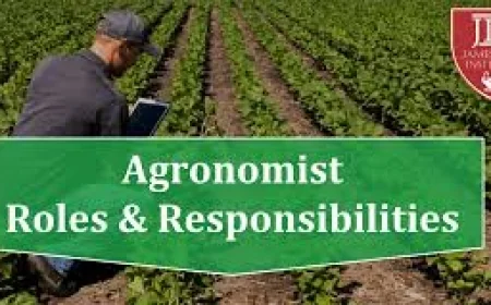 Agronomist Nasıl Olunur ? Agronomist Ne Kadar Kazanır ?