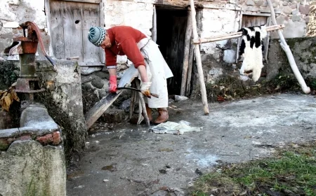 Debbağ Nedir? Debbağ Nasıl Olunur? Debbağ Hakkında Kapsamlı Bir Rehber