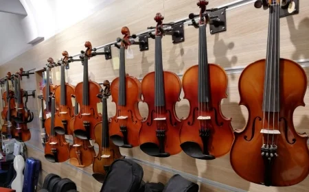 Gitarist Nedir ? Gitarist Nasıl Olunur ? Gitarist Ne Kadar Kazanır ?