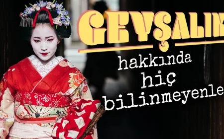 Geyşa Nedir ? Geyşa Nasıl Olunur ? Geyşa Ne Kadar Kazanır ?