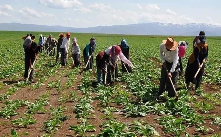 Irgat Nedir – Irgat Nasıl Olunur – Irgat Ne Kadar Kazanır?