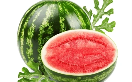 Karpuzcu Nedir – Karpuzcu Nasıl Olunur – Karpuzcu Ne Kadar Kazanır?
