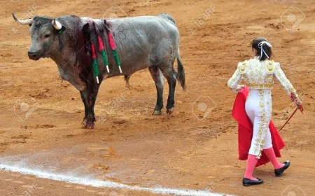Matador Nedir – Matador Nasıl Olunur – Matador Ne Kadar Kazanır?