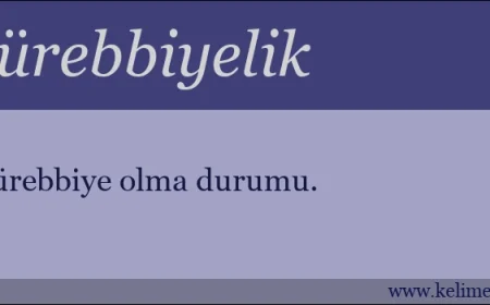 Mürebbiye Nedir – Mürebbiye Nasıl Olunur – Mürebbiye Ne Kadar Kazanır?