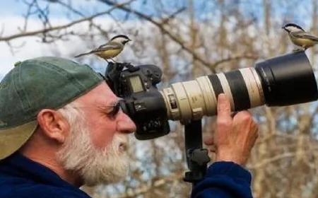 Ornitolog Nedir – Ornitolog Nasıl Olunur – Ornitolog Ne Kadar Kazanır?