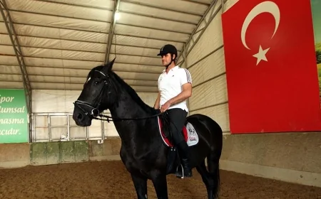 Seyis Nedir – Seyis Nasıl Olunur – Seyis Ne Kadar Kazanır?