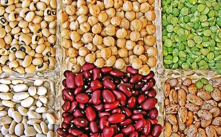 Şarküter Nedir – Şarküter Nasıl Olunur – Şarküter Ne Kadar Kazanır